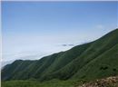 临武三十六湾风电场边坡绿化、生态恢复项目
