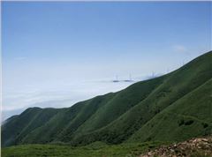 临武三十六湾风电场边坡绿化、生态恢复项目