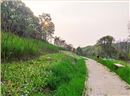衡阳市常宁水口山铅锌煤矿区山水林田湖草生态?；ば薷词缘愎こ? title=