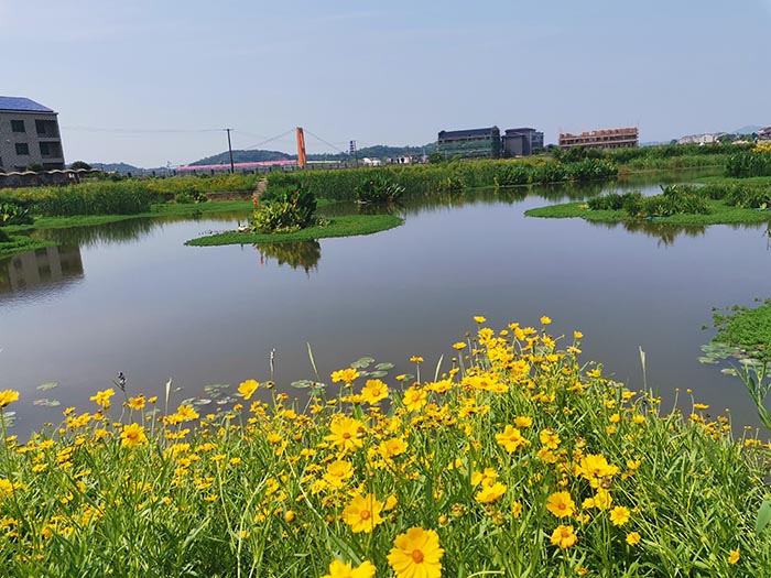 衡阳县蒸水流域山水林田湖草生态?；ば薷垂こ淌缘阆钅? title=