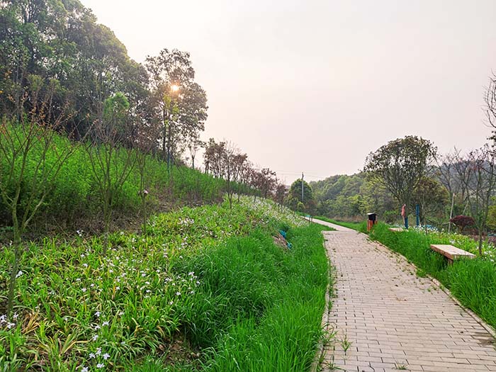 衡阳市常宁水口山铅锌煤矿区山水林田湖草生态?；ば薷词缘愎こ? title=