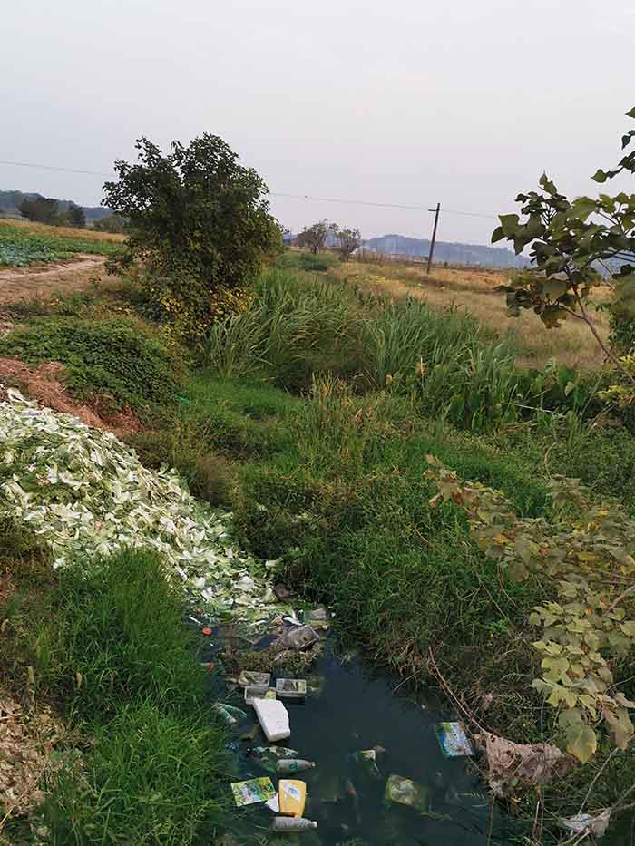 衡阳县蒸水流域山水林田湖草生态?；ば薷垂こ淌缘阆钅? title=