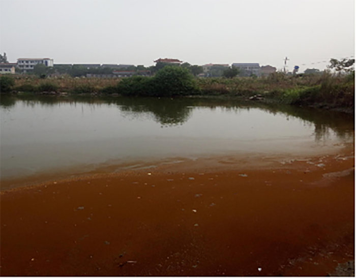 衡阳县蒸水流域山水林田湖草生态?；ば薷垂こ淌缘阆钅? title=